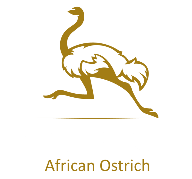 https://atrouche.com/wp-content/uploads/2022/11/logo-lautruche-01-metzabat-640x598.png